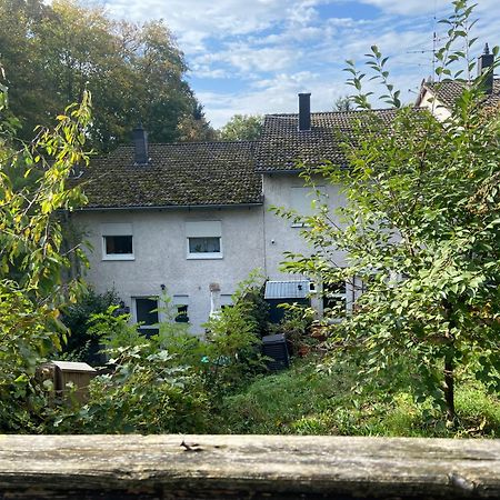 In Saarbruecken Stadtnahe Gemuetliche Wohnung Am Deutsch-Franzoesischen Garten Exterior foto