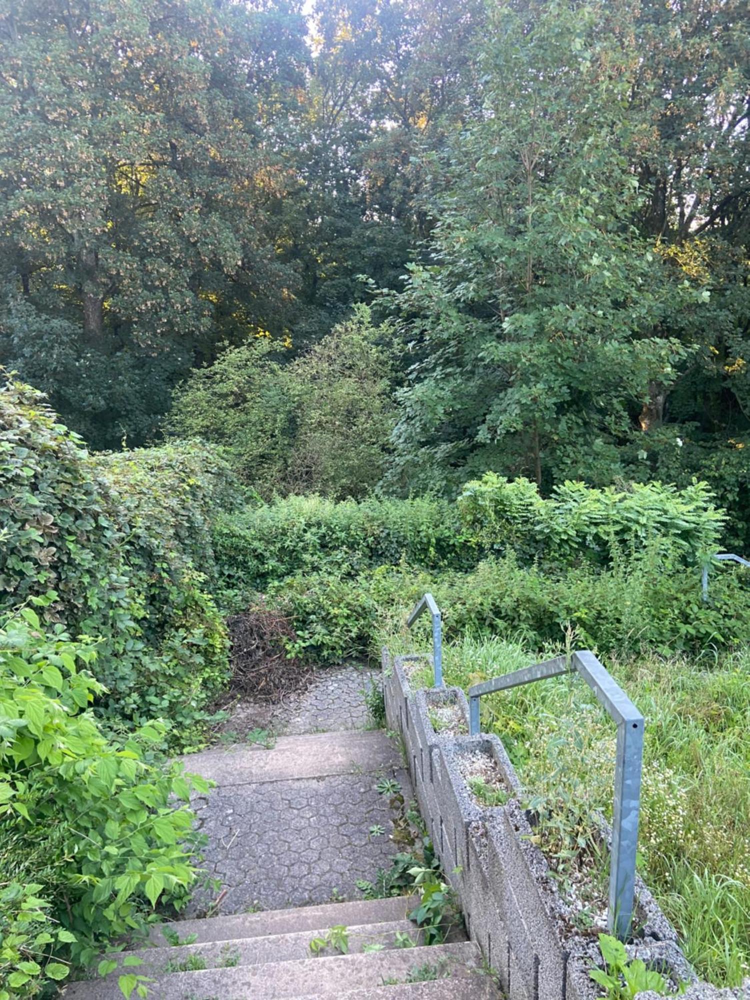 In Saarbruecken Stadtnahe Gemuetliche Wohnung Am Deutsch-Franzoesischen Garten Exterior foto